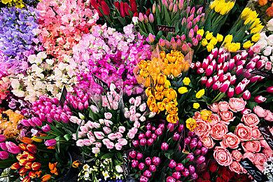 《刺客信条：影》新宣传片 展示四季交替的动态环境